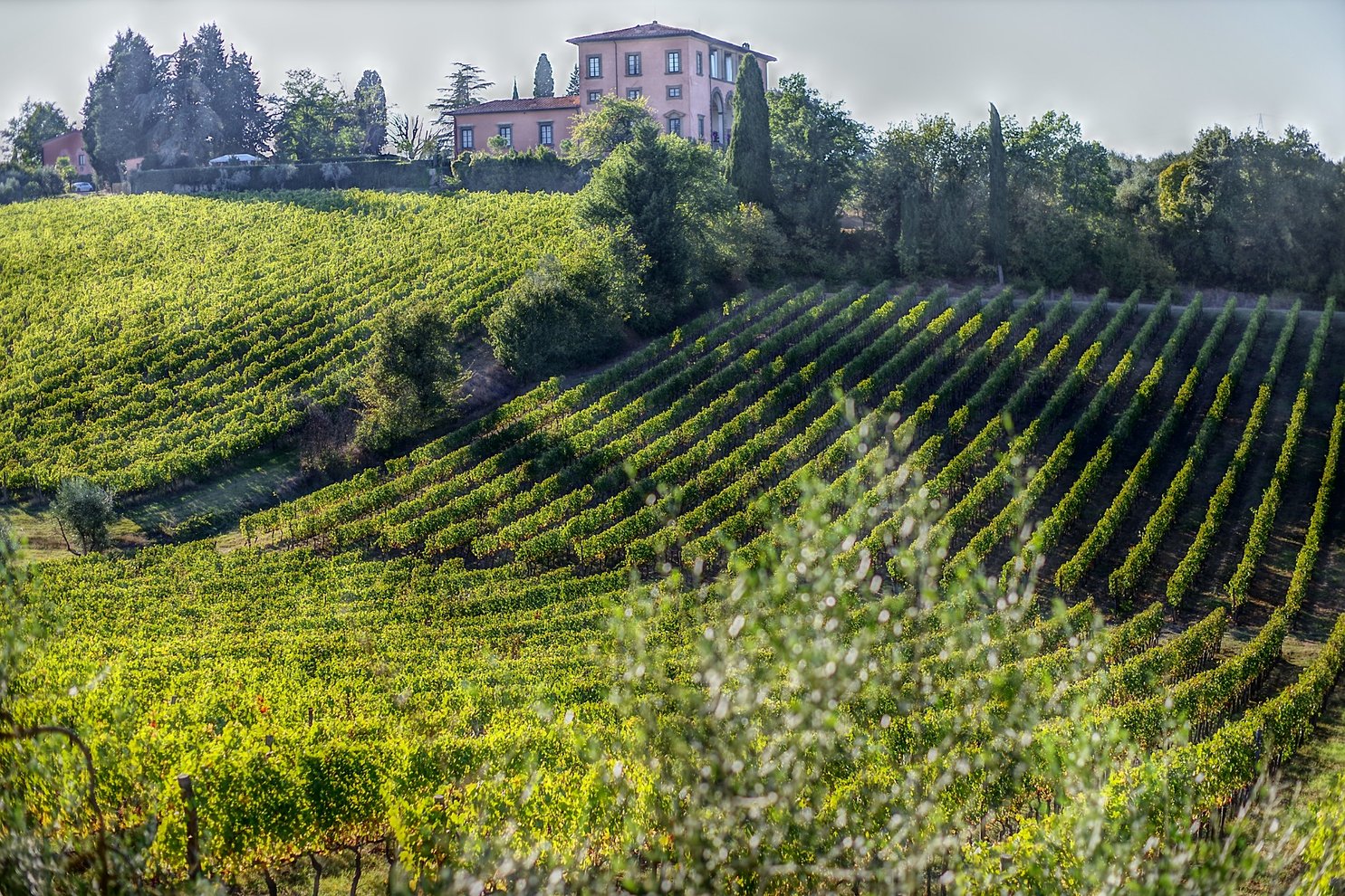 Food And Wine Vacations Travel Guide Tuscany Winery Tour 